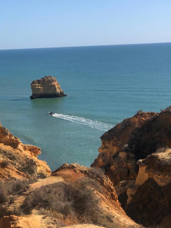 Casa Dos Cedros Βίλα Καρβοέιρο Εξωτερικό φωτογραφία
